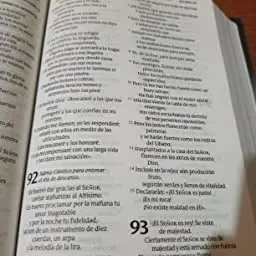 Biblia NTV/Edicion Clasica/Sentipiel/Vino Tinto - Imagen 4