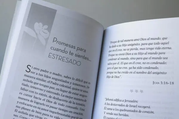 Promesas De Dios Para Tiempos Dificiles - Imagen 3