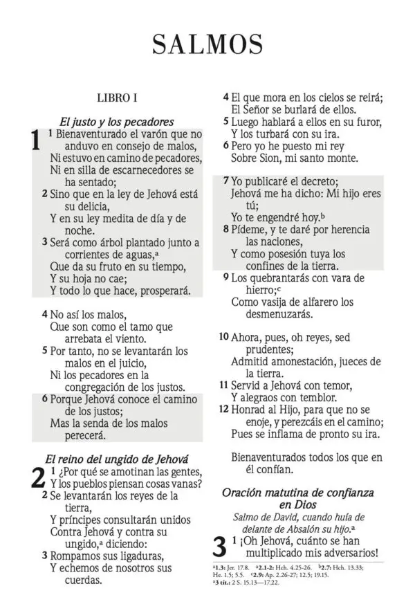Biblia De Promesa RVR60/Tamaño Manual/Piel Especial/Negro - Imagen 3