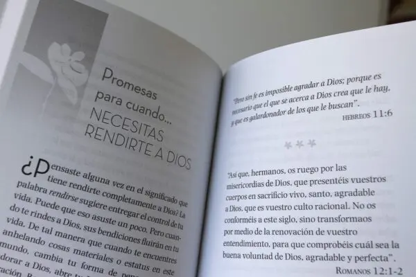 Promesas De Dios Para Tiempos Dificiles - Imagen 2