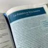 Biblia De Estudio Swindoll/NTV/Sentipiel/Cafe Claro/Indice - Imagen 3