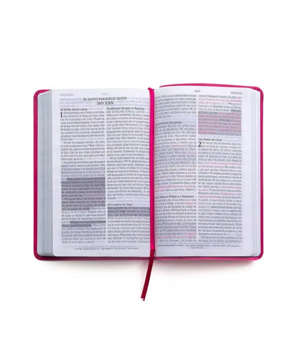 RVR60/Promesas/ Piel/Fucsia - Imagen 3