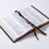 Biblia/RVR60/Coleccion Premier/Letra Gigante/Negro - Imagen 3