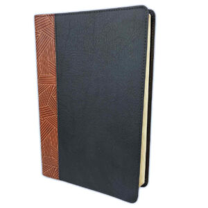 Biblia De Estudio Arcoíris Tostado-Negro RVR60
