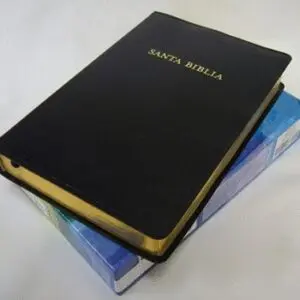Biblia De Estudio/RVR/Arco Iris/Piel Fabricada/Negro