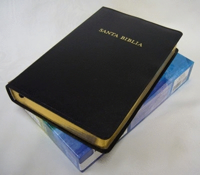 Biblia De Estudio/RVR/Arco Iris/Piel Fabricada/Negro
