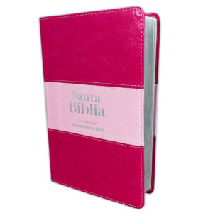 Biblia Letra Grande RV1960 imit. piel duotono rosa