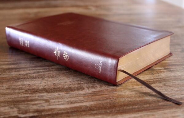 Biblia Bilingue RVR60 English Standard Version LG Marron - Tubiblia.com
