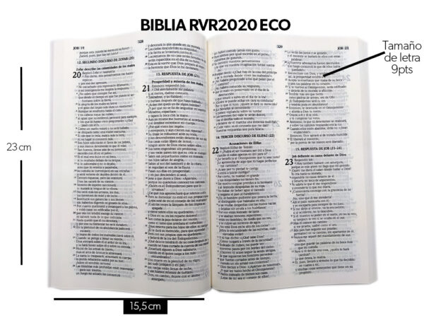 Biblia Dios Es Amor RVR2020 - Tubiblia.com