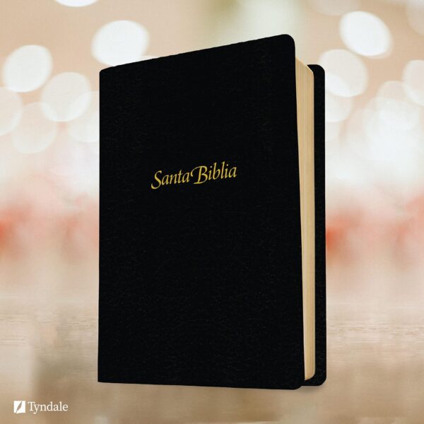 Biblia NTV Personal Letra grande sentipiel 2 - Tubiblia.com