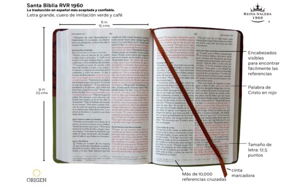Biblia RVR1960 LG Imitacion Piel Verde-Marron - Tubiblia.com