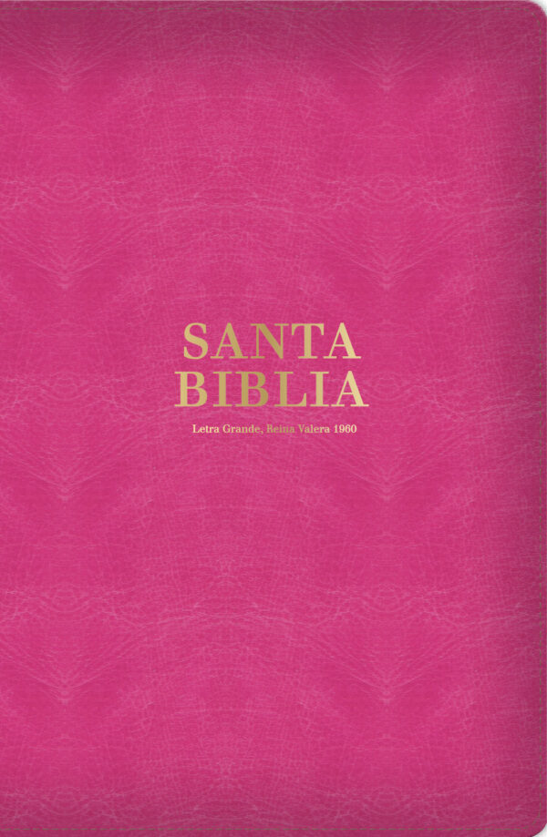 Biblia RVR60 Tamaño LG Rosa Canto Dorado - TUbiblia.com
