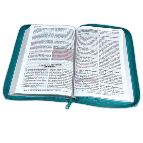 Biblia de Promesas RVR60 Letra Gigante Turquesa - Tubiblia.com