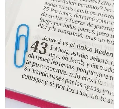 Biblia/RVR086cZLGi / Fucsia - Rosa/ Cierre Letra Gigante - Imagen 2