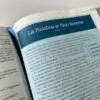Biblia De Estudio Swindoll/Sentipiel/NTV/Negro - Imagen 2