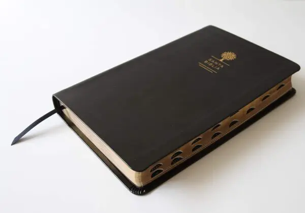Biblia RVR60/Imitación Piel/Negra/Índice - Imagen 2
