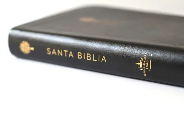 Biblia RVR60/Imitación Piel/Negra/Índice - Imagen 5