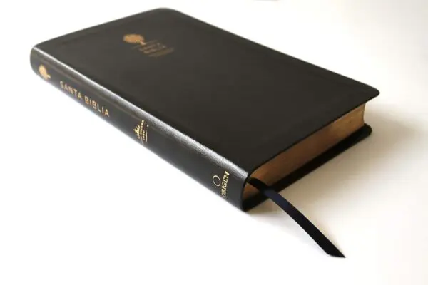Biblia RVR60/Imitación Piel/Negra/Índice - Imagen 8