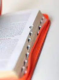 Biblia/RVR035cZTI/ PJR /Cafe - Naranja - Imagen 2