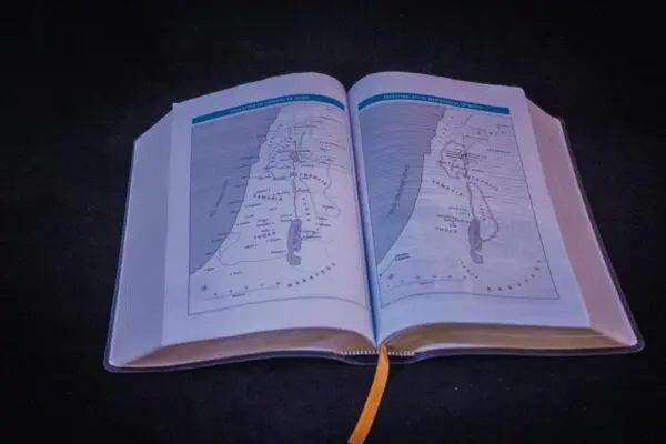 Santa Biblia Espíritu Santo - Imagen 3