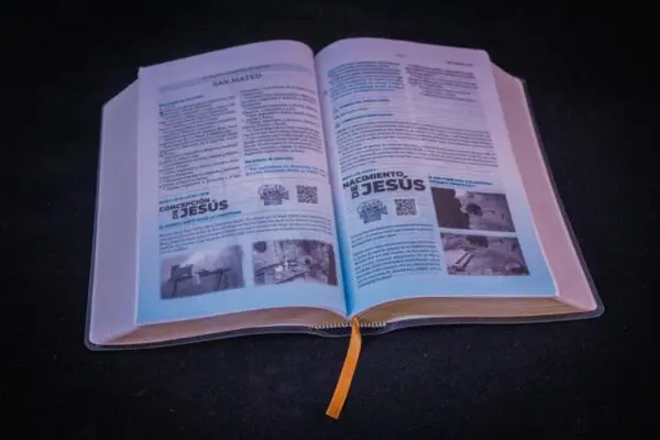 Santa Biblia Espíritu Santo - Imagen 4