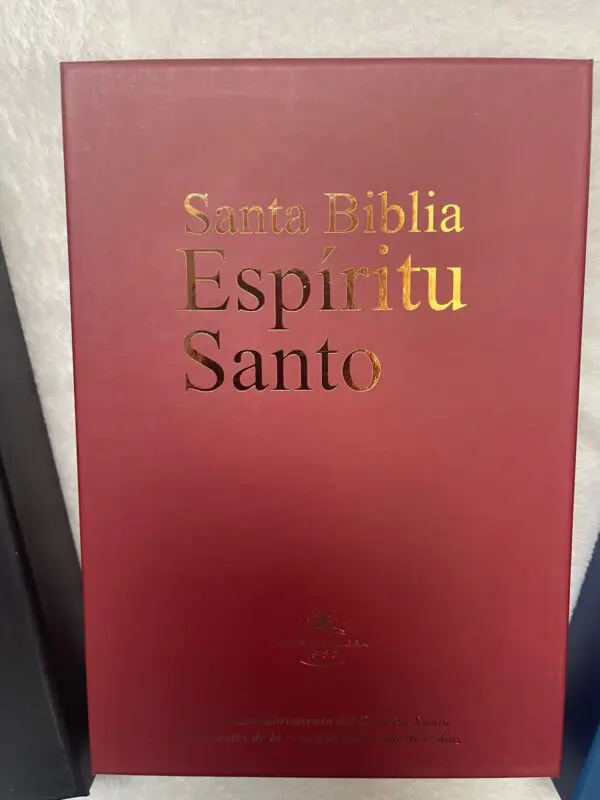 Santa Biblia Espíritu Santo - Imagen 10