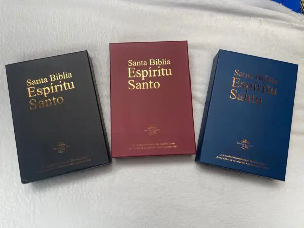 Santa Biblia Espíritu Santo - Imagen 2
