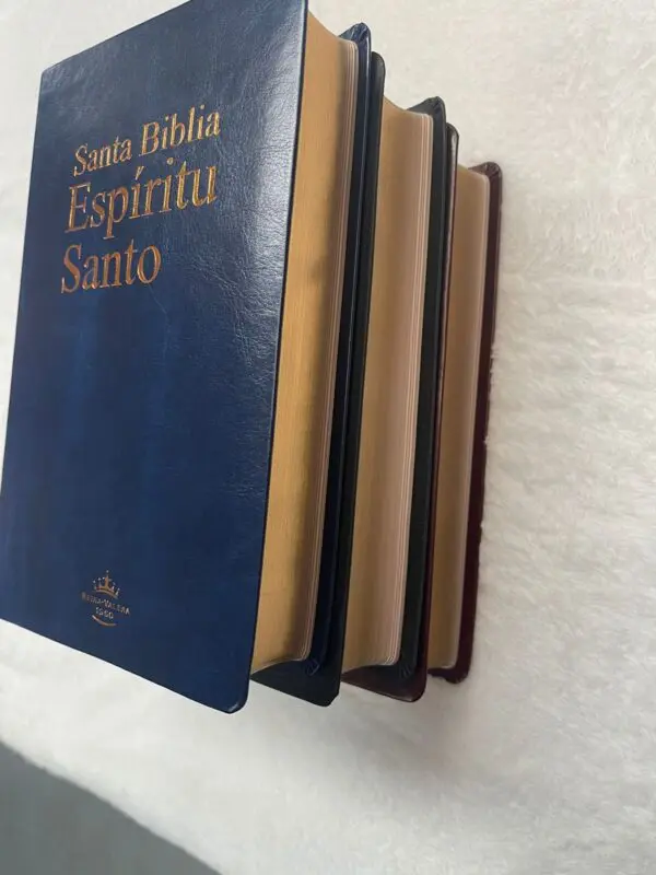Santa Biblia Espíritu Santo - Imagen 8