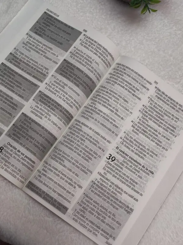 Biblia de Promesas Letra Gigante Rustica Marrón - Imagen 3