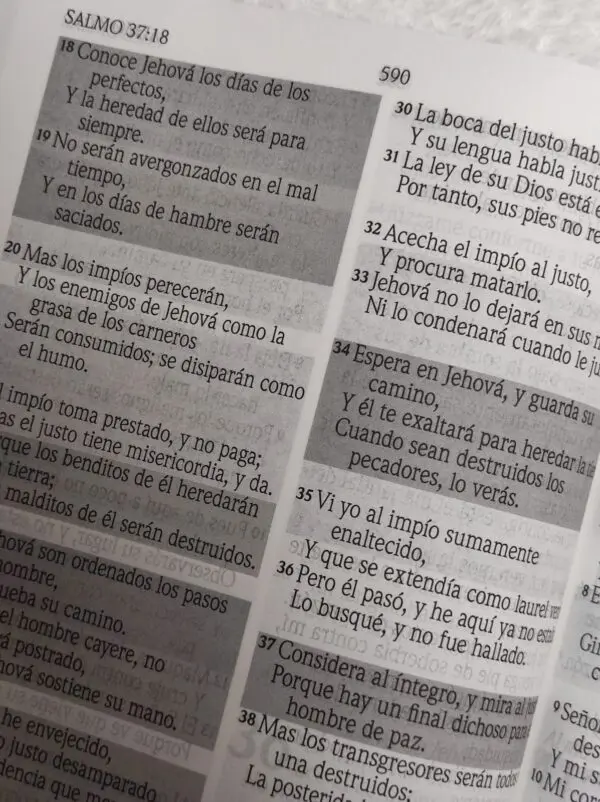 Biblia de Promesas Letra Gigante Rustica Marrón - Imagen 4