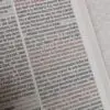 Biblia de Promesas Letra Gigante Rustica Marrón - Imagen 5