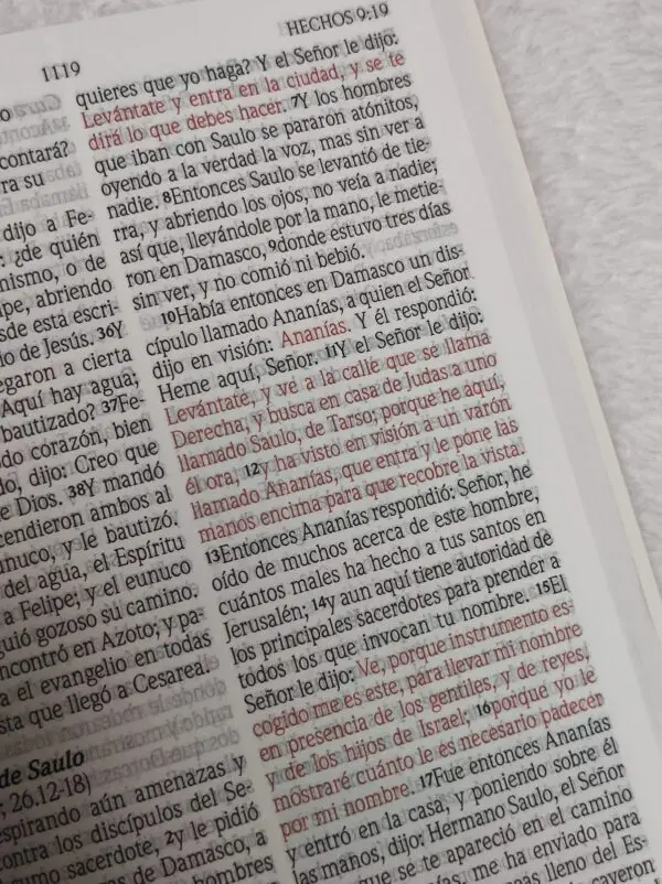Biblia de Promesas Letra Gigante Rustica Marrón - Imagen 5
