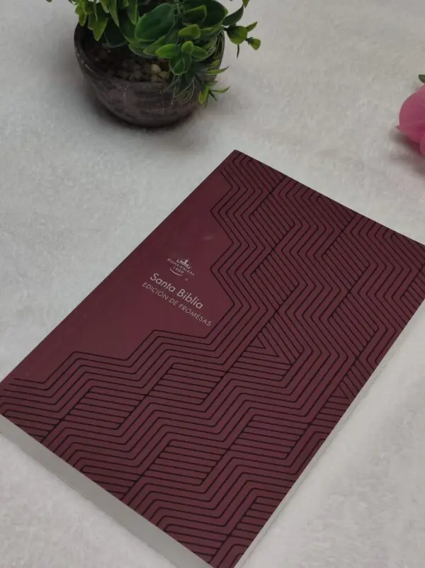 Biblia de Promesas Letra Gigante Rustica Marrón - Imagen 2