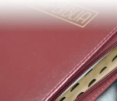 Biblia /RVR025cZTILMa PJR/ Vinotonto Canto Dorado Indice - Imagen 2