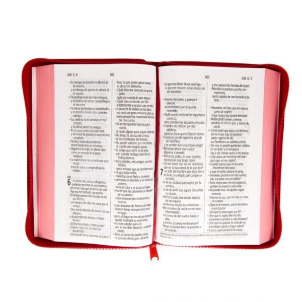 Biblia Dios Habla Hoy - Bordado Rojo - Imagen 2