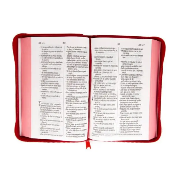 Biblia Dios Habla Hoy - Bordado Rojo - Imagen 2
