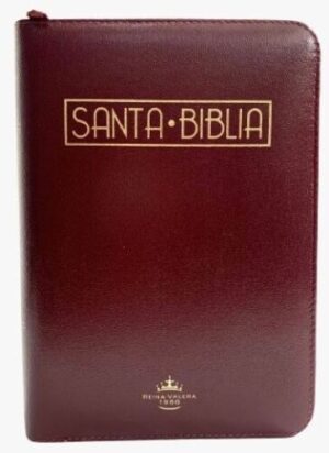 Biblia /RVR025cZTILMa PJR/ Vinotonto Canto Dorado Indice