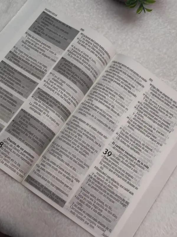 Biblia de Promesas Letra Gigante Forrada - Imagen 4