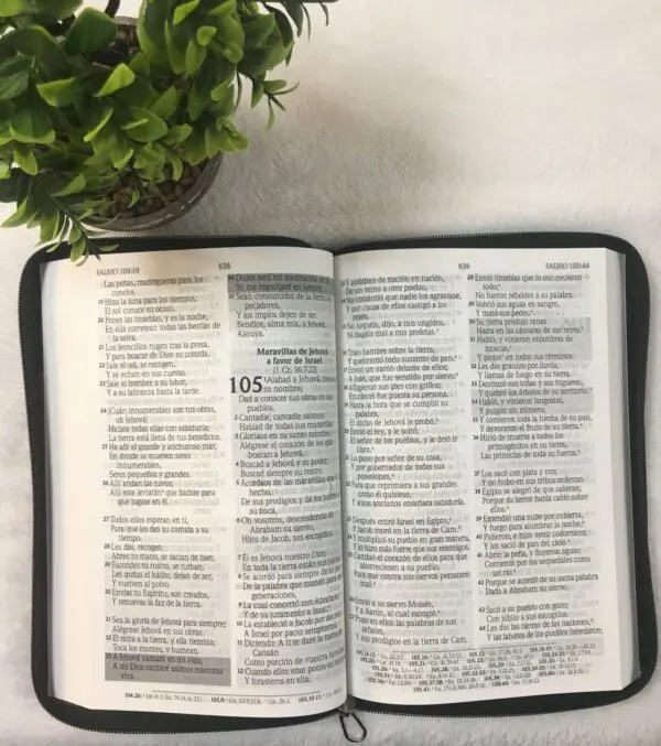 Biblia de Promesas Letra Gigante Forrada - Imagen 2
