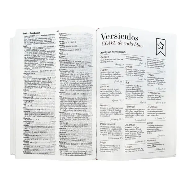 Biblia RV60 Eco Flex C3 Flores Multicolor [Biblia] - Imagen 4