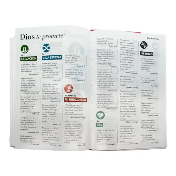 Biblia RV60 Eco Flex C3 Flores Multicolor [Biblia] - Imagen 2