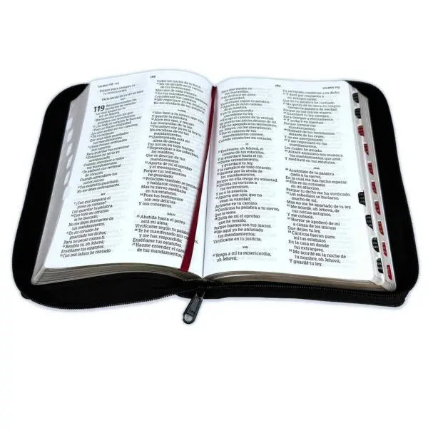 Biblia Letra Grande 12 puntos con cierre Reina Valera 1960 - Imagen 3