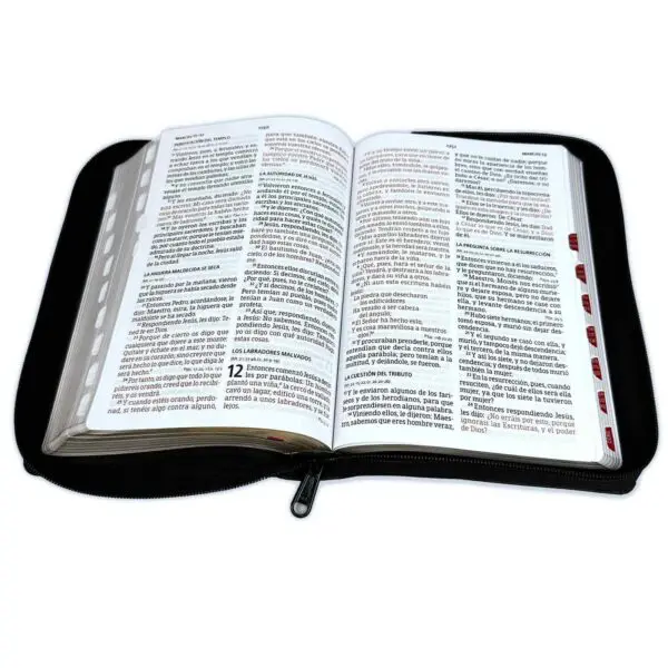Biblia Letra Grande 12 puntos con cierre Reina Valera 1960 - Imagen 2