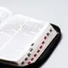 Biblia RVR60 Manual Letra Gigante Semil Piel Negro Indice Cierre - Imagen 2