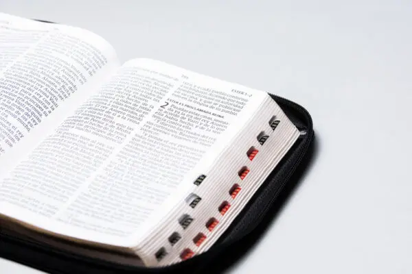 Biblia RVR60 Manual Letra Gigante Semil Piel Negro Indice Cierre - Imagen 2
