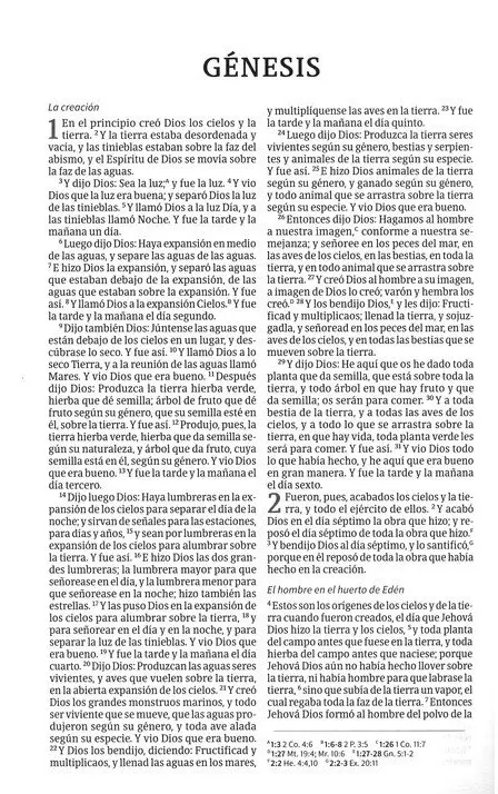 Biblia RVR60 Misionera Tapa Rustica Azul - Imagen 2