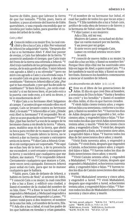 Biblia RVR60 Misionera Tapa Rustica Azul - Imagen 3