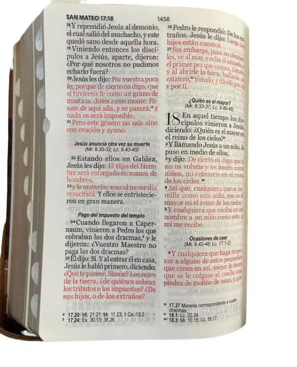 Biblia Reina Valera 1960 045  LG café con Indice - Imagen 2