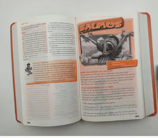 Biblia de Poder para Niños RVC piel - Imagen 2
