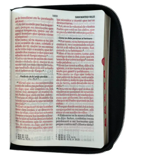 Biblia Reina Valera 1960 045 LG Negra con Indice - Imagen 3